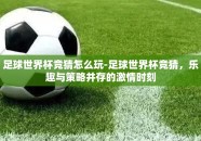 足球世界杯竞猜怎么玩-足球世界杯竞猜，乐趣与策略并存的激情时刻
