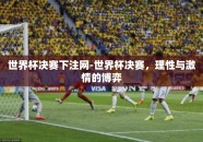 世界杯决赛下注网-世界杯决赛，理性与激情的博弈