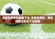 足球世界杯在哪里下注-足球世界杯，理性观赛与合法下注指南