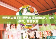 世界杯去哪下注-世界杯观赛新体验，理性参与，智慧下注