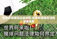 世界杯竞猜投注违法吗-世界杯竞猜投注的法律边界