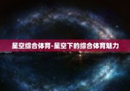 星空综合体育-星空下的综合体育魅力