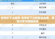 世界杯下注推荐-世界杯下注的智慧策略，理性分析与稳健选择