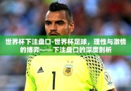 世界杯下注盘口-世界杯足球，理性与激情的博弈——下注盘口的深度剖析