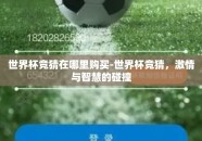 世界杯竞猜在哪里购买-世界杯竞猜，激情与智慧的碰撞
