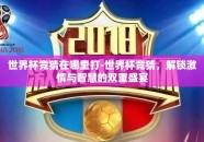 世界杯竞猜在哪里打-世界杯竞猜，解锁激情与智慧的双重盛宴