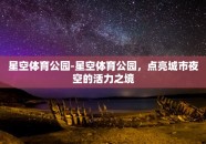 星空体育公园-星空体育公园，点亮城市夜空的活力之境