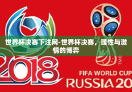 世界杯决赛下注网-世界杯决赛，理性与激情的博弈