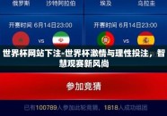 世界杯网站下注-世界杯激情与理性投注，智慧观赛新风尚