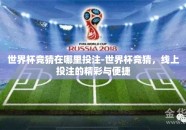 世界杯竞猜在哪里投注-世界杯竞猜，线上投注的精彩与便捷