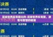 足球世界杯竞猜比例-足球世界杯竞猜，激情与智慧的碰撞