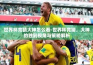 世界杯竞猜大神怎么看-世界杯竞猜，大神的独到视角与策略解析