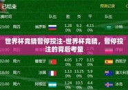 世界杯竞猜暂停投注-世界杯竞猜，暂停投注的背后考量