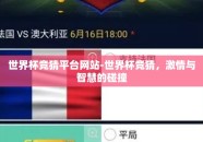 世界杯竞猜平台网站-世界杯竞猜，激情与智慧的碰撞