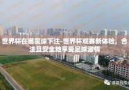 世界杯在哪买球下注-世界杯观赛新体验，合法且安全地享受足球激情