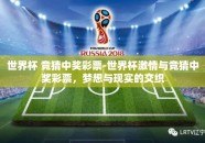 世界杯 竞猜中奖彩票-世界杯激情与竞猜中奖彩票，梦想与现实的交织
