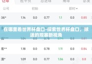 在哪里看世界杯盘口-探索世界杯盘口，球迷的观赛新视角