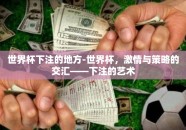 世界杯下注的地方-世界杯，激情与策略的交汇——下注的艺术