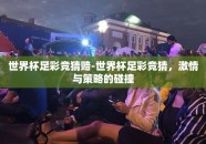 世界杯足彩竞猜赔-世界杯足彩竞猜，激情与策略的碰撞