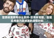 世界杯竞猜有什么软件-世界杯竞猜，智能应用助力足球迷的激情时刻