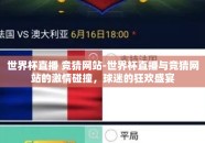世界杯直播 竞猜网站-世界杯直播与竞猜网站的激情碰撞，球迷的狂欢盛宴