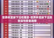 世界杯足球下注在哪买-世界杯足球下注的合法与安全选择