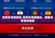 世界杯竞猜擂台-世界杯竞猜擂台，激情与智慧的碰撞