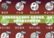 世界杯竞猜是合法的吗-世界杯竞猜，法律边界与娱乐的微妙平衡