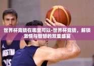 世界杯竞猜在哪里可以-世界杯竞猜，解锁激情与智慧的双重盛宴