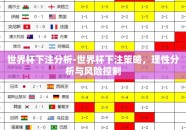 世界杯下注分析-世界杯下注策略，理性分析与风险控制