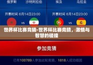 世界杯比赛竞猜-世界杯比赛竞猜，激情与智慧的碰撞