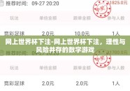 网上世界杯下注-网上世界杯下注，理性与风险并存的数字游戏