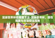 足球世界杯在哪里下注-足球世界杯，理性观赛与合法投注指南