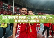 世界杯冠军赔率竞猜-世界杯冠军赔率，一场智慧与运气的较量