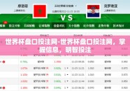 世界杯盘口投注网-世界杯盘口投注网，掌握信息，明智投注