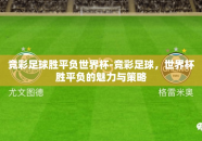 竞彩足球胜平负世界杯-竞彩足球，世界杯胜平负的魅力与策略