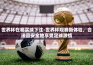 世界杯在哪买球下注-世界杯观赛新体验，合法且安全地享受足球激情