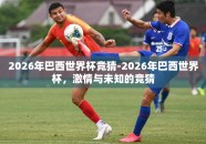 2026年巴西世界杯竞猜-2026年巴西世界杯，激情与未知的竞猜