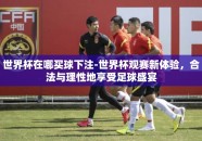 世界杯在哪买球下注-世界杯观赛新体验，合法与理性地享受足球盛宴
