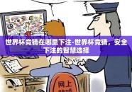 世界杯竞猜在哪里下注-世界杯竞猜，安全下注的智慧选择