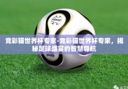 竞彩猫世界杯专家-竞彩猫世界杯专家，揭秘足球盛宴的智慧导航