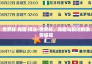 世界杯 竞猜 投注-世界杯，竞猜与投注的激情碰撞