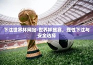 下注世界杯网站-世界杯盛宴，理性下注与安全选择