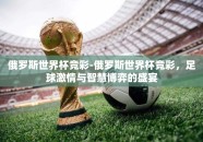 俄罗斯世界杯竞彩-俄罗斯世界杯竞彩，足球激情与智慧博弈的盛宴