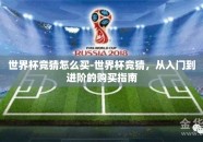 世界杯竞猜怎么买-世界杯竞猜，从入门到进阶的购买指南