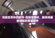 竞猜世界杯的软件-竞猜世界杯，解锁观赛新体验的智能软件