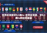 世界杯竞猜宇fc3典tv-世界杯竞猜，宇fc3典tv的狂欢盛宴