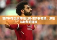 世界杯怎么玩竞猜比赛-世界杯竞猜，激情与智慧的碰撞