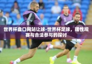 世界杯盘口网站让球-世界杯足球，理性观赛与合法参与的探讨