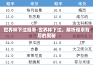 世界杯下注赔率-世界杯下注，解析赔率背后的奥秘